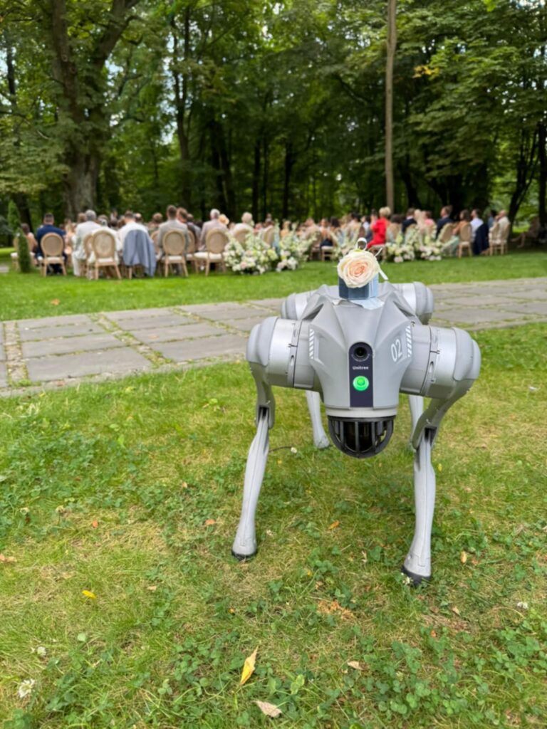 Roboter von Delta Robots auf einer Veranstaltung