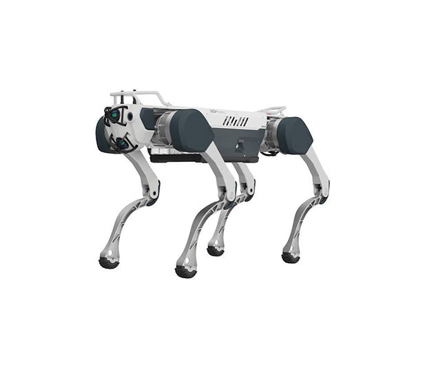 Deep Robotics X30